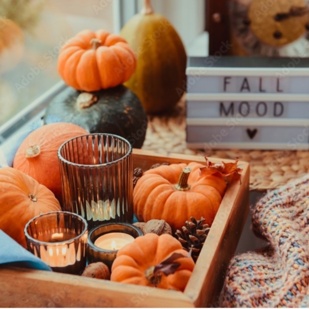 Meet your Posher, Vycw